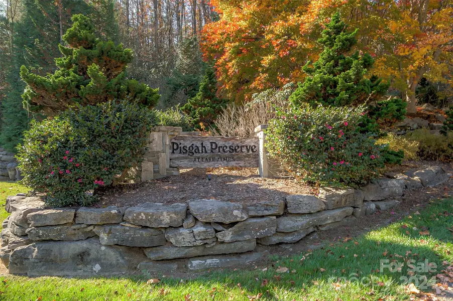 1690 Pisgah Preserve DR #40 & 41, Nebo, NC 28761