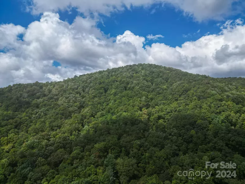 TBD Off Vineyard LOOP, Pisgah Forest, NC 28768