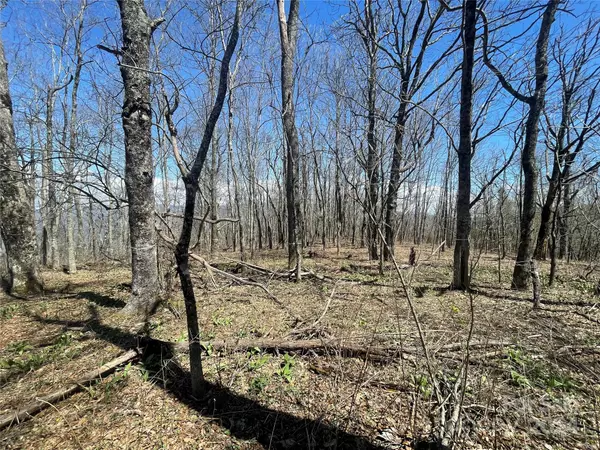 Fairview, NC 28730,99999 Fairview Forest DR #Parcel 1