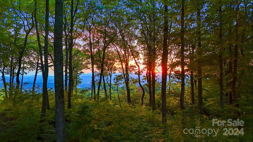 LOT 68 Mountain Grove LN, Fletcher, NC 28732