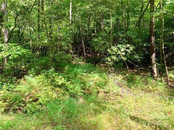 Brevard, NC 28712,TBD Double Creek DR #6