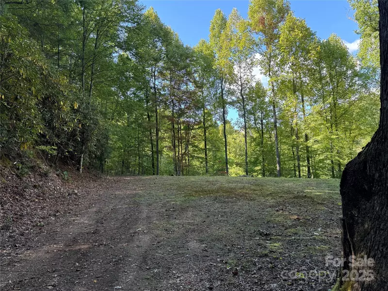 Lot E Twin Coves RD, Bryson City, NC 28713