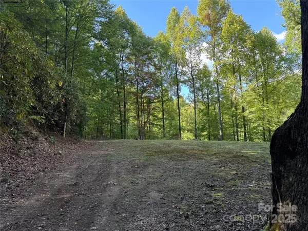 Bryson City, NC 28713,Lot E Twin Coves RD