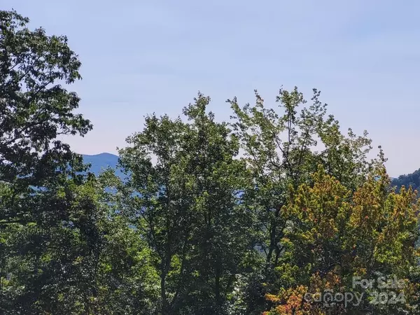 Marion, NC 28752,0 Parkway DR