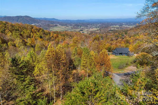 134 View Ridge Pkwy #93, Leicester, NC 28748