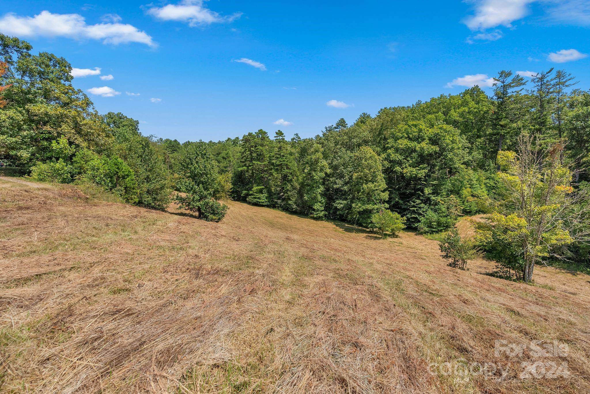 Alexander, NC 28701,45 Lela LN