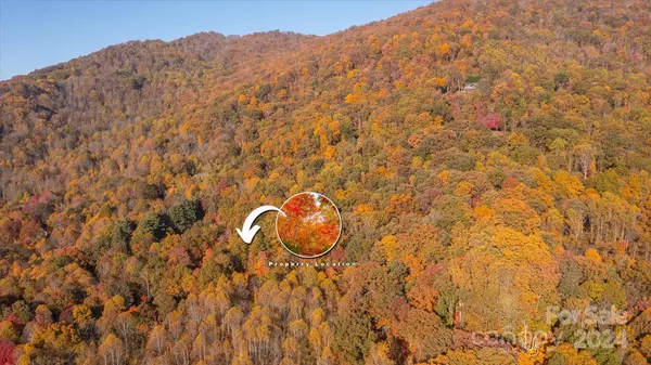 Waynesville, NC 28786,3.08 ac Cobblestone DR #27 & 29