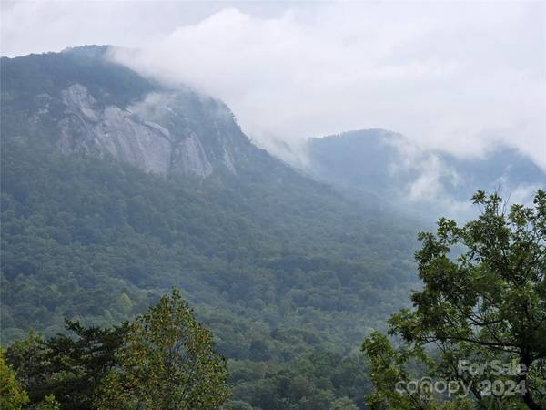 Lake Lure, NC 28746,202 Hillview DR