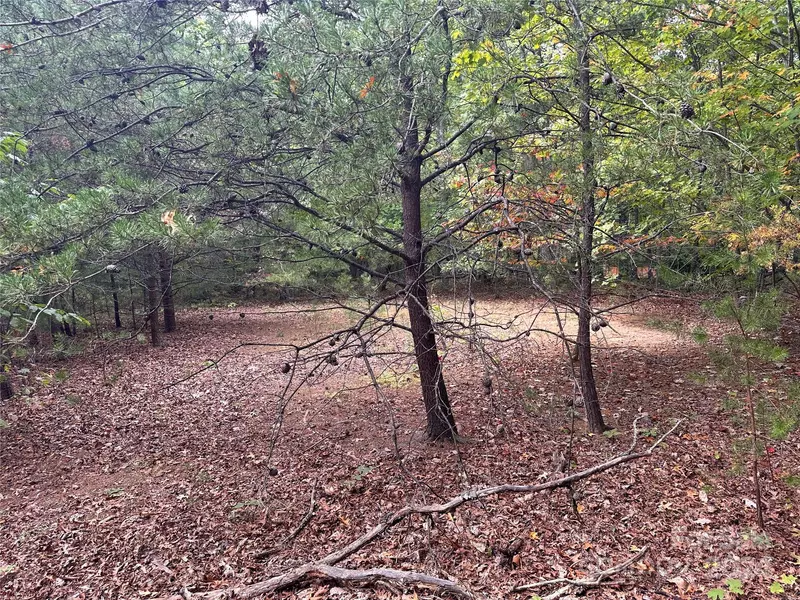 333 Mossy Oak TRL #164, Nebo, NC 28761