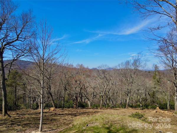 239 Thunder Wood TRL #239, Blowing Rock, NC 28605