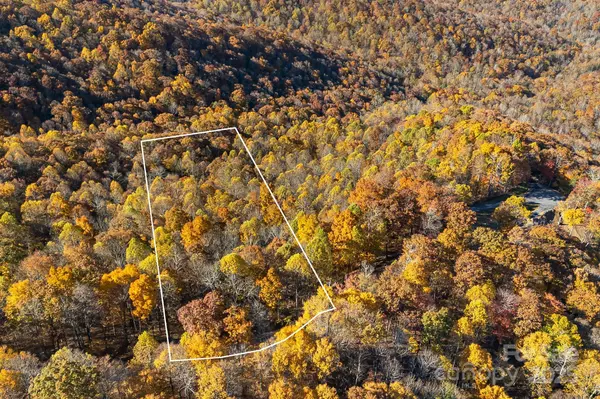 Spruce Pine, NC 28777,TBD Lot 103 Alderfly CT