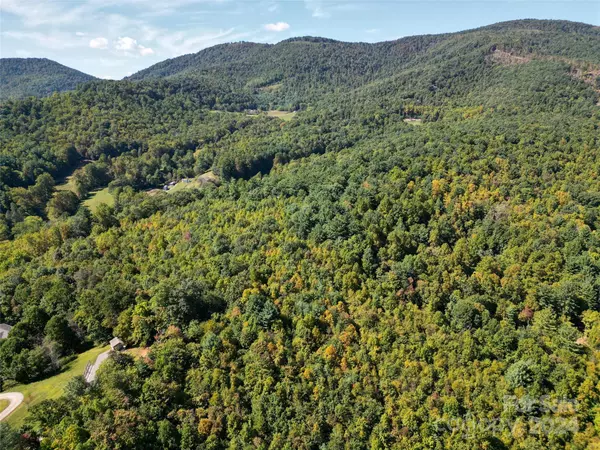 Deep Gap, NC 28618,00 Orchard RD