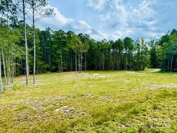 Patrick, SC 29584,2025 Sam Jones RD