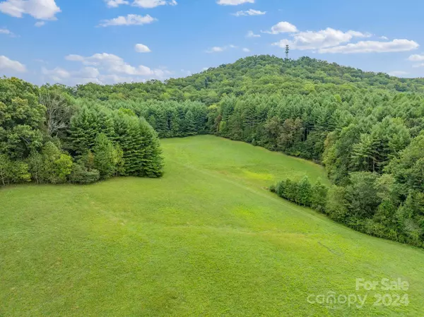 Franklin, NC 28734,232 Dobson RD