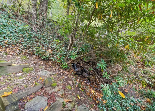 Maggie Valley, NC 28751,168 Old Still RD