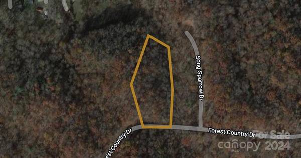 0 Forest Country DR #17, Marion, NC 28752