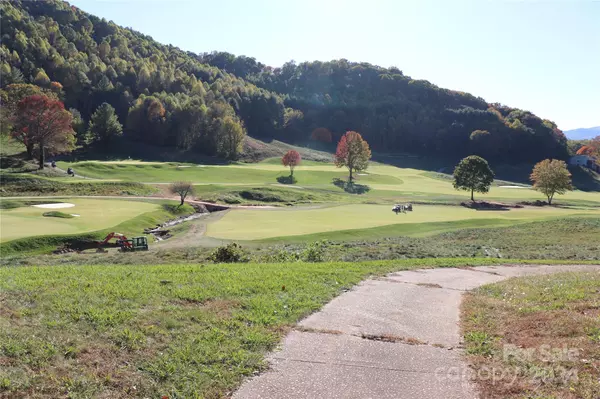 Waynesville, NC 28786,00 Greenview DR #10