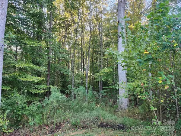 Waxhaw, NC 28173,249 Barra DR