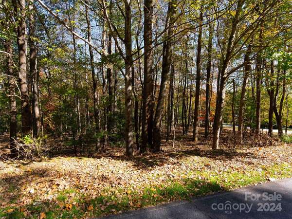 308 Piney Knoll LN #189, Hendersonville, NC 28739