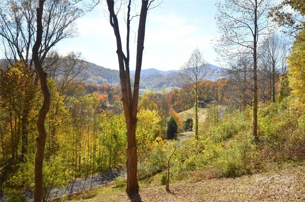 000 Wheatgrass LOOP #5, Waynesville, NC 28785