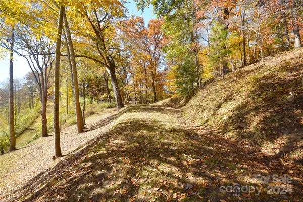 Waynesville, NC 28785,000 Wheatgrass LOOP #5