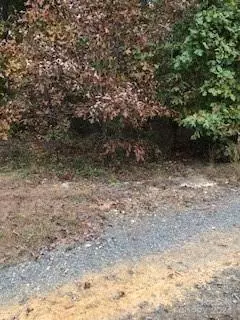 000 Woodhaven LN,  Indian Trail,  NC 28079