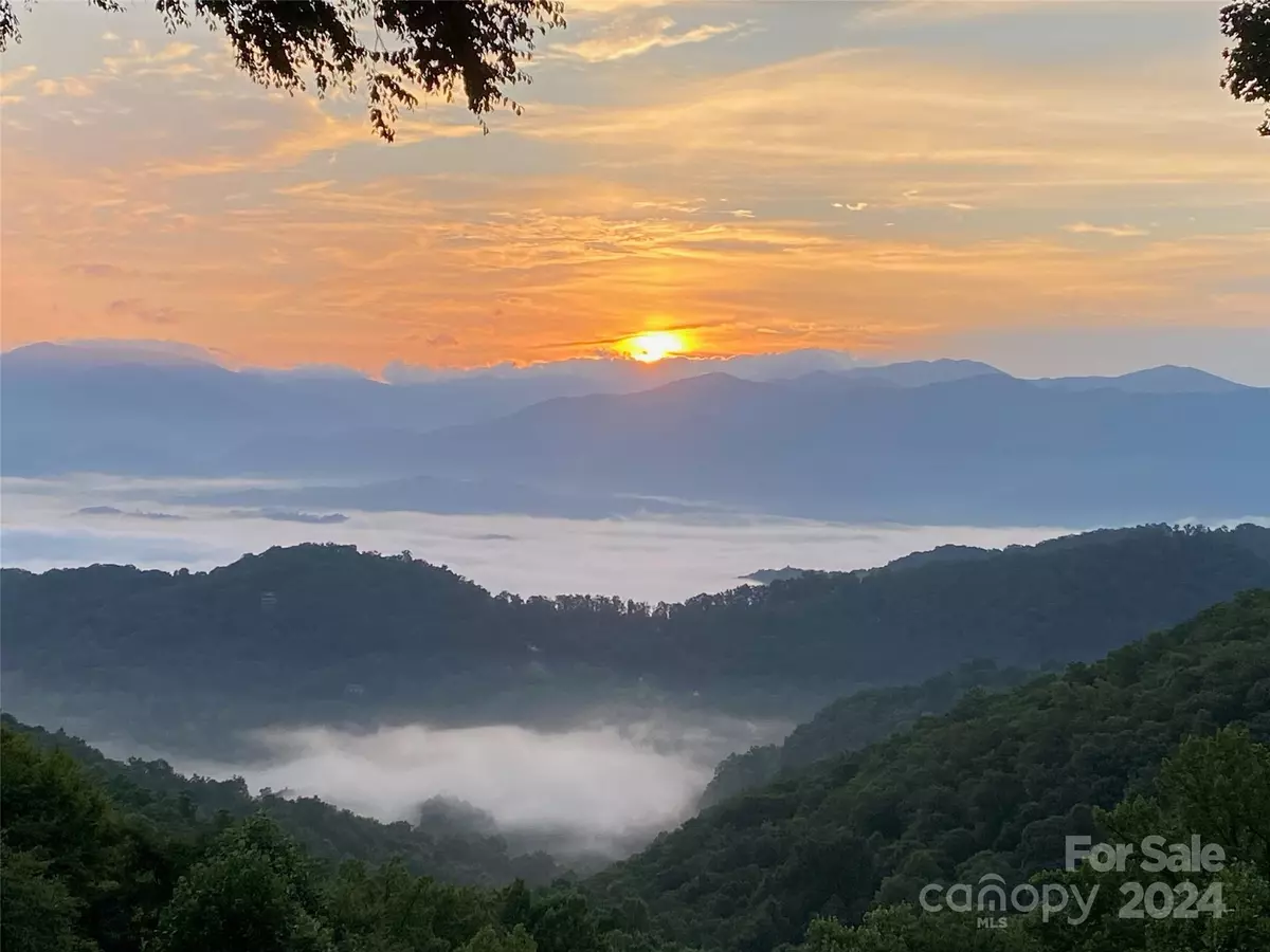 Whittier, NC 28789,1651 Williamson RD