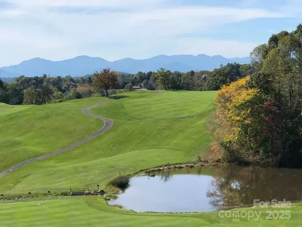 Weaverville, NC 28787,66 HawTree CT #266