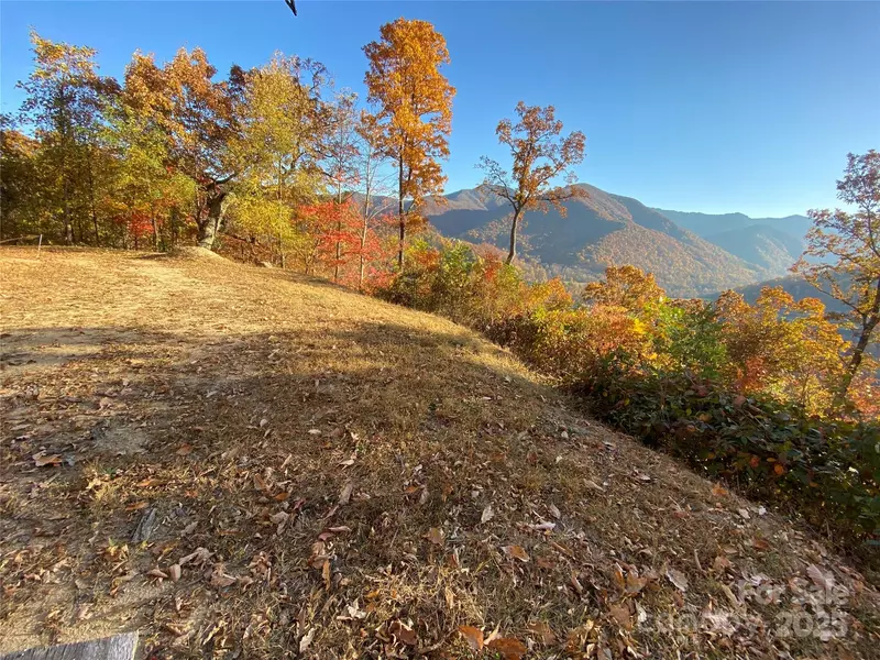 40 Cougar LN #13, 14, 15, 16, Maggie Valley, NC 28751