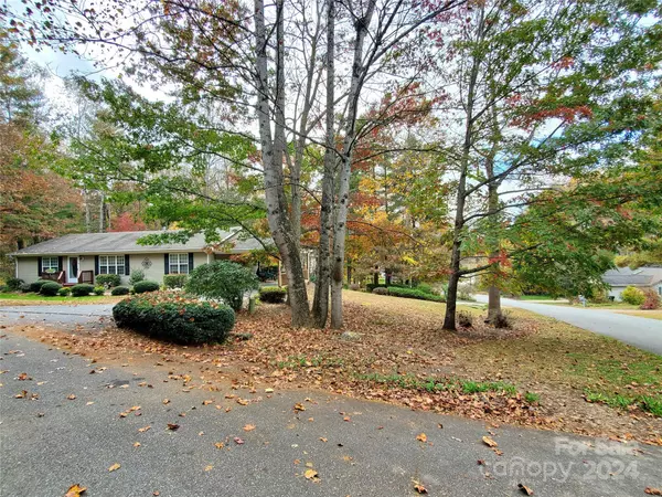 Flat Rock, NC 28731,202 Mint WAY
