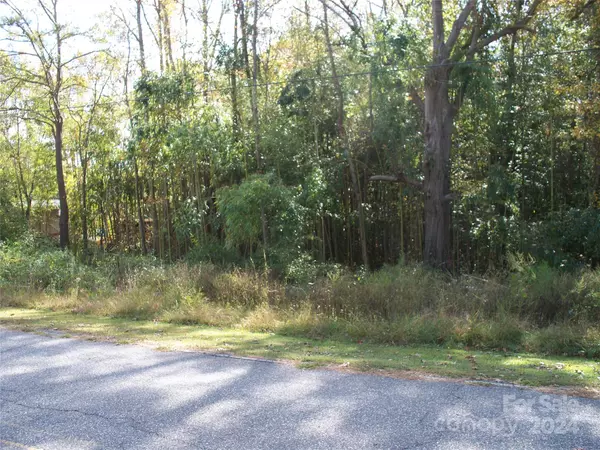 Lincolnton, NC 28092,0 Cochrane RD