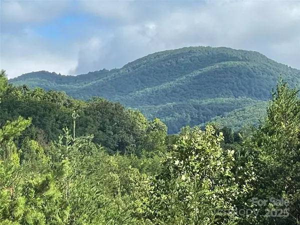Mill Spring, NC 28756,00 Birkdale DR #159