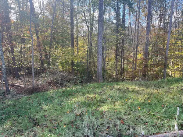 Mooresville, NC 28115,000 Young ST