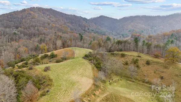 Marshall, NC 28753,222 Indigo Bunting LN