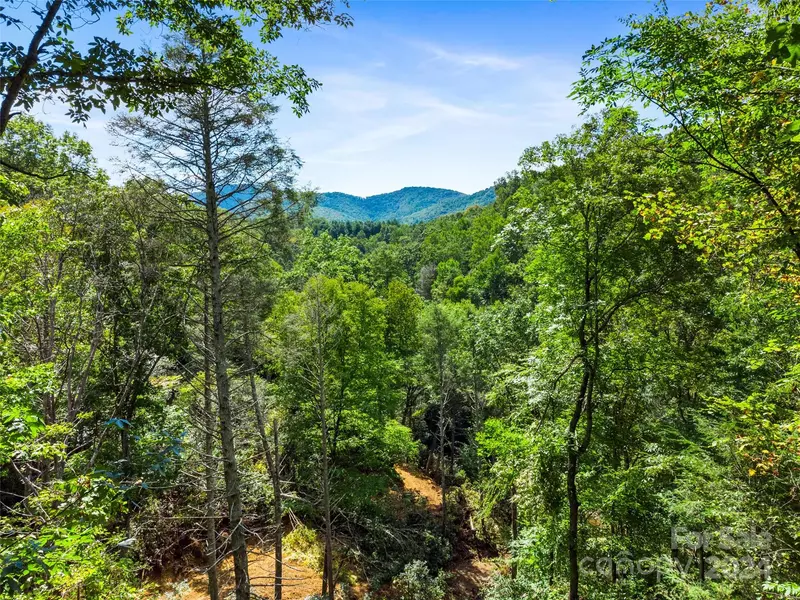 00 Windy CV, Spruce Pine, NC 28777