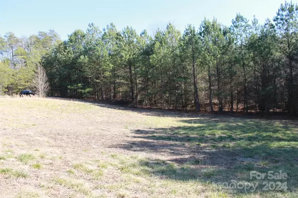00 Quail Hill DR, Rutherfordton, NC 28139