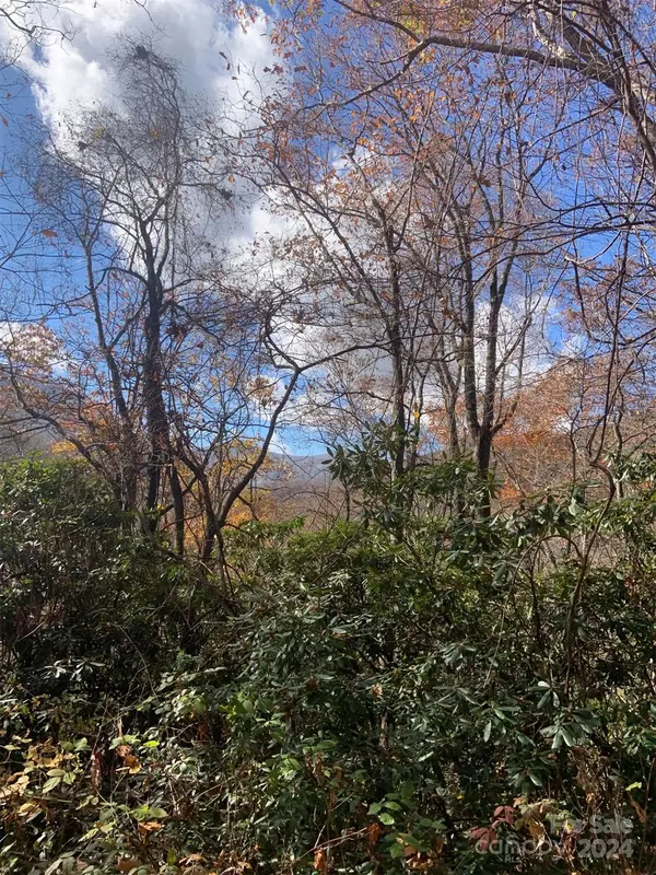 Maggie Valley, NC 28751,0 Little Mountain RD #25 & 26