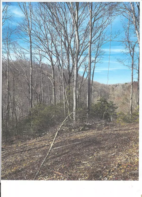 Spruce Pine, NC 28777,Lot #4 Windy Cove LN NW