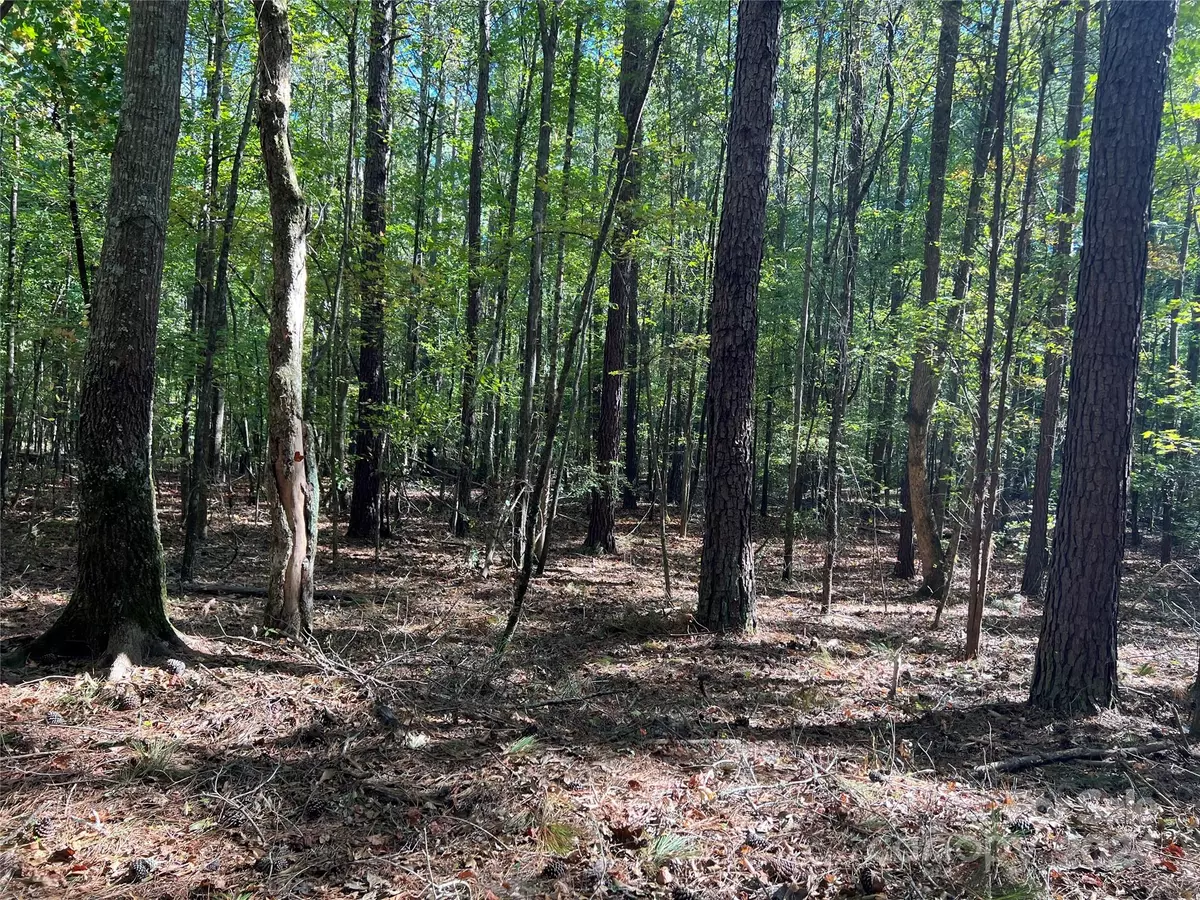 Clover, SC 29710,2390 Highway 321 HWY