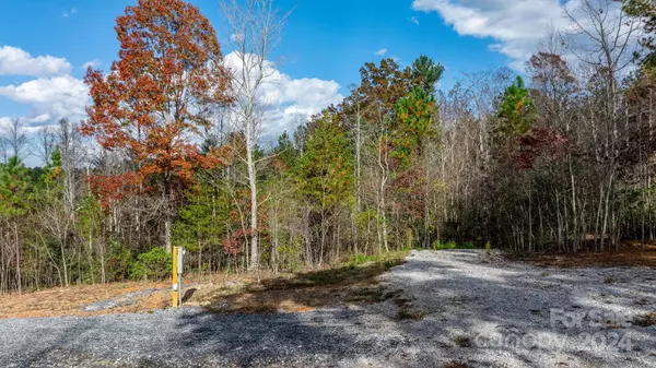 Nebo, NC 28761,65 Smoothstem CT #85