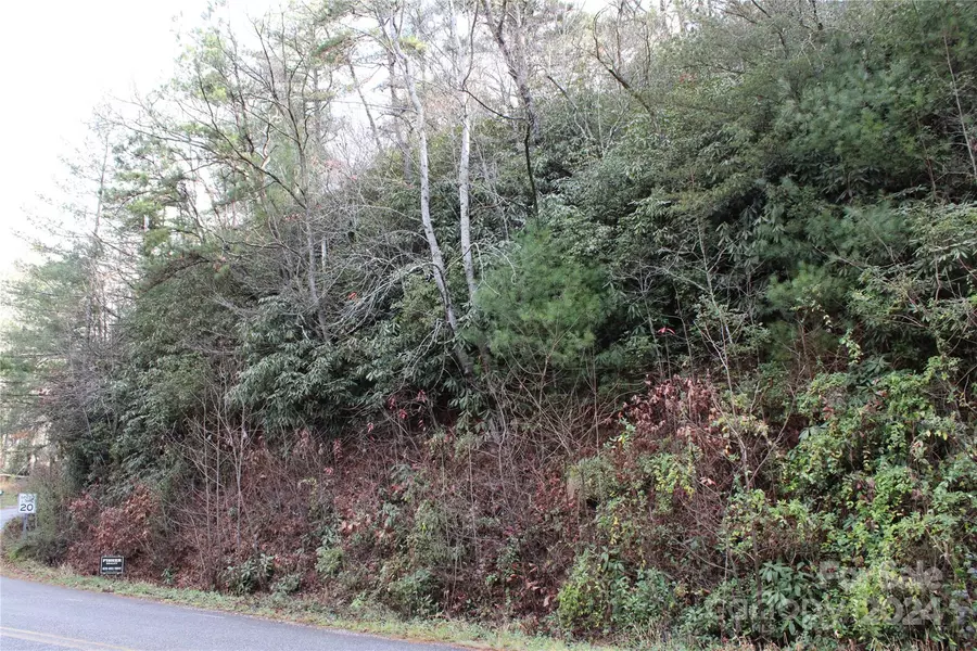 TBD Stamey Creek RD, Brevard, NC 28712