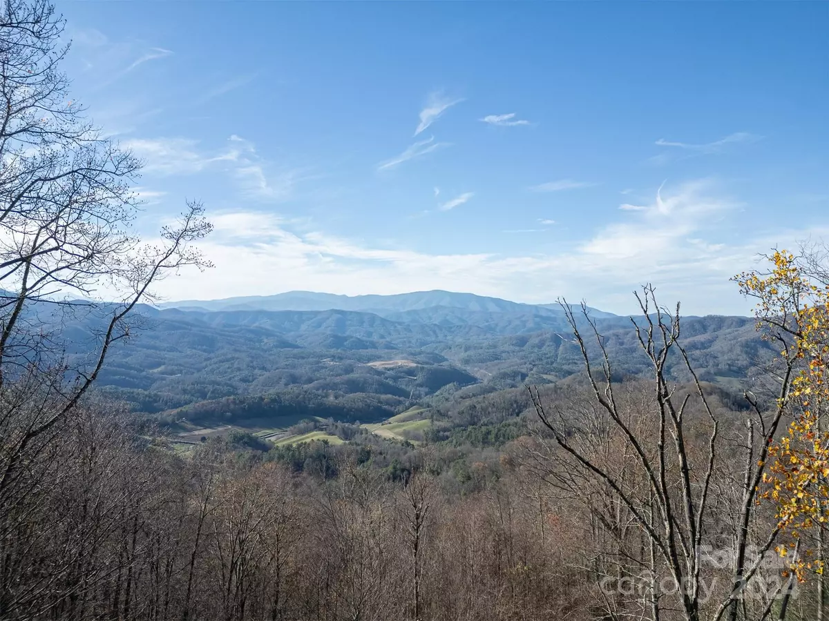 Clyde, NC 28721,0000 Hyacinth DR