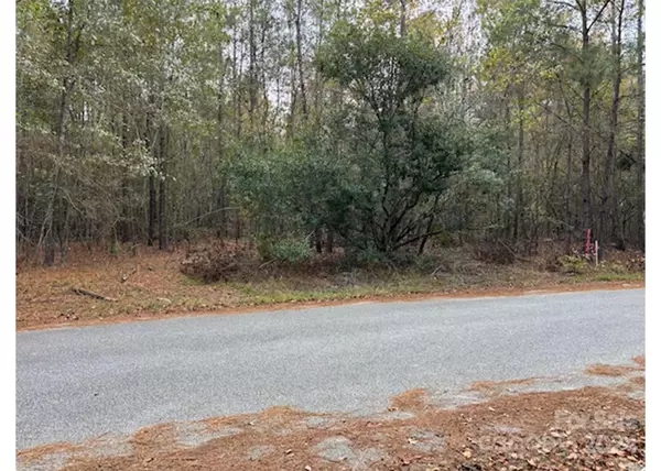 Summerton, SC 29148,Lot 4 Hudson RD