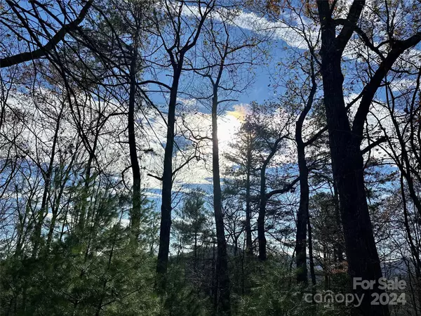 Marshall, NC 28753,625 White Water WAY #25