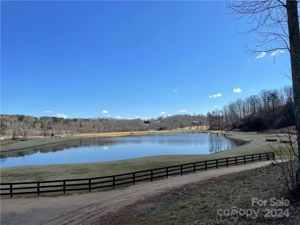 Tryon, NC 28782,00 Overmountain TRCE #34