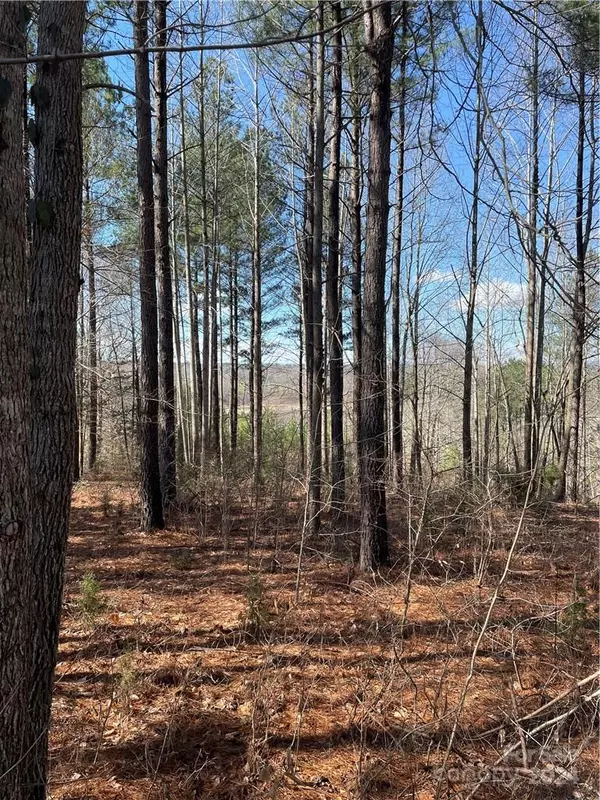 Tryon, NC 28782,00 Overmountain TRCE #34