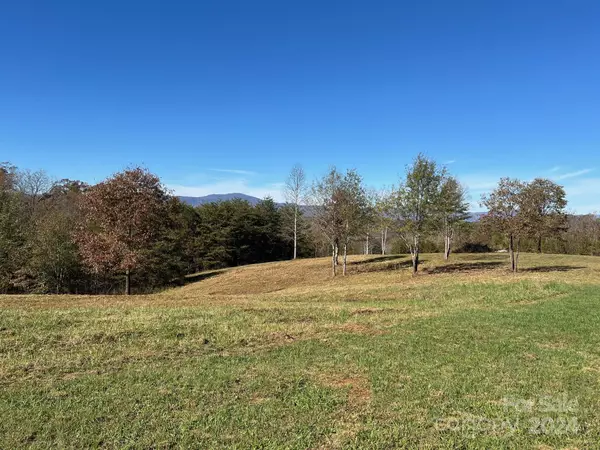 Mill Spring, NC 28756,483 Big Level RD