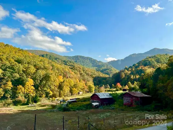 Leicester, NC 28748,99999 S Turkey Creek RD