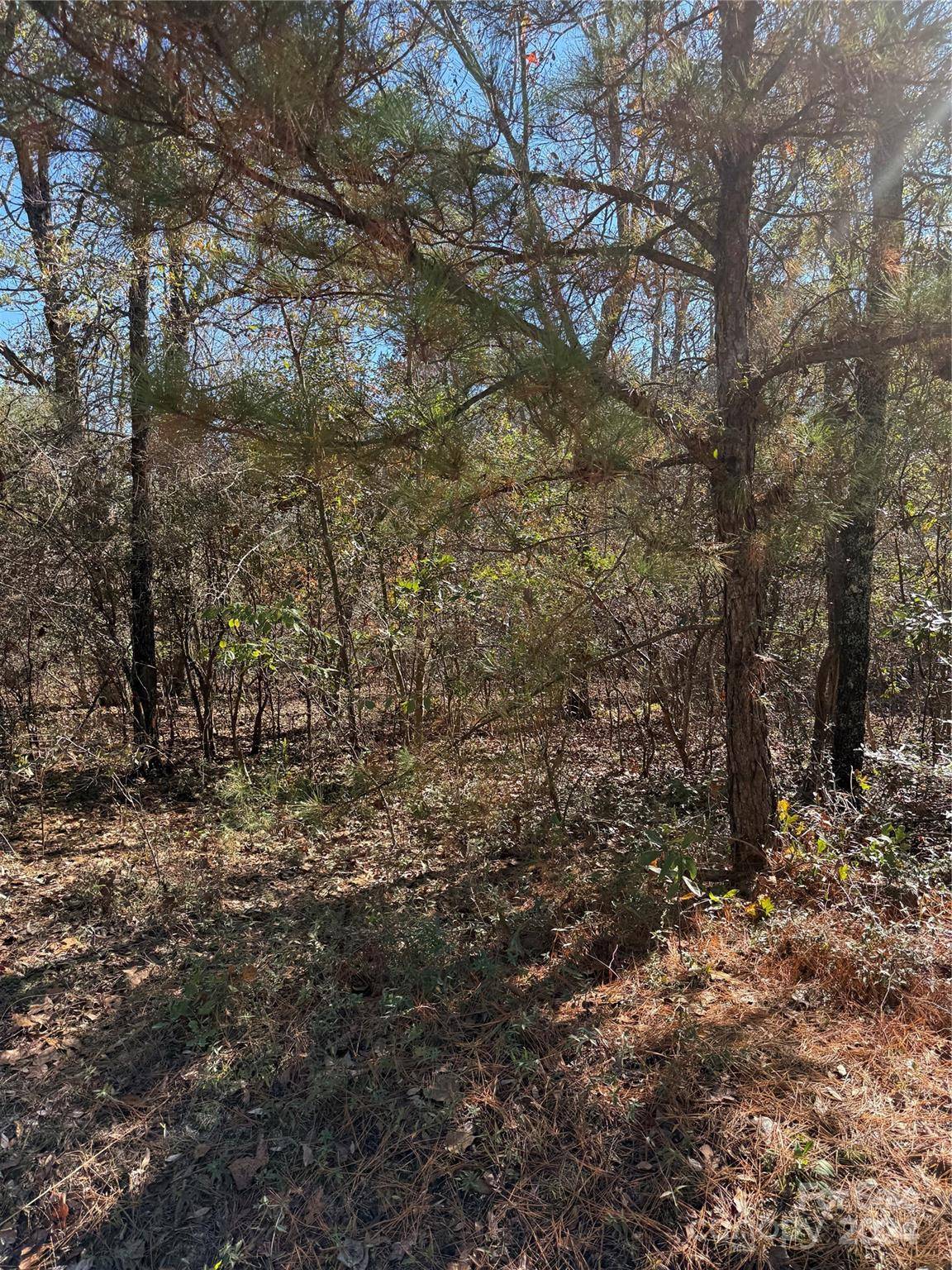 Patrick, SC 29584,TBD Nivens RD