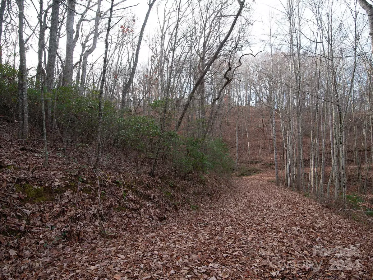 Waynesville, NC 28786,000 Beacon Rock LN #Lot 211